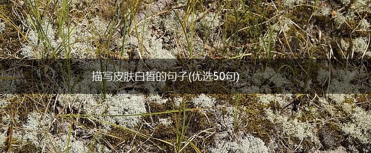 描写皮肤白皙的句子(优选50句),第1张