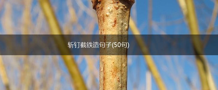 斩钉截铁造句子(50句),第1张