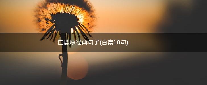 白鹿原经典句子(合集10句),第1张