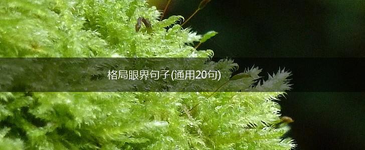 格局眼界句子(通用20句),第1张