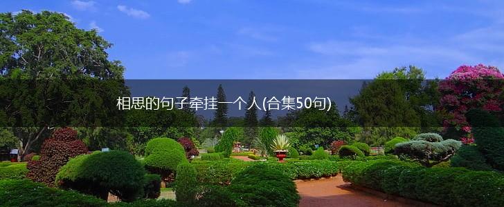 相思的句子牵挂一个人(合集50句),第1张