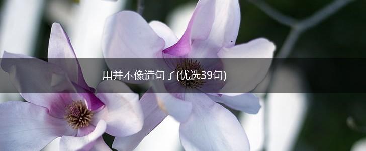 用并不像造句子(优选39句),第1张