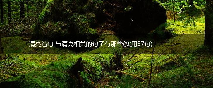 清亮造句 与清亮相关的句子有那些(实用57句),第1张