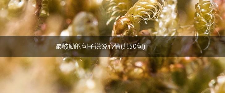 最鼓励的句子说说心情(共50句),第1张