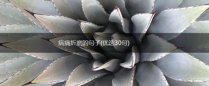 病痛折磨的句子(优选30句),第1张