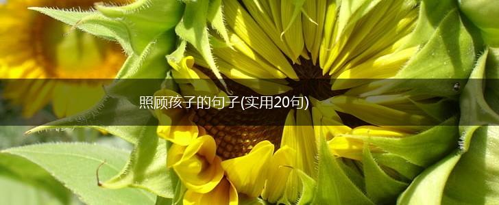 照顾孩子的句子(实用20句),第1张