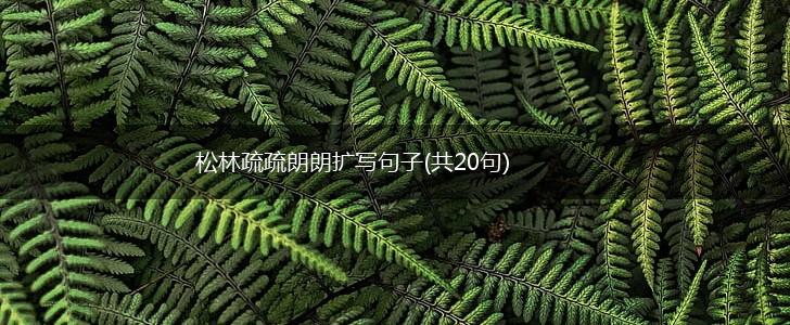 松林疏疏朗朗扩写句子(共20句),第1张