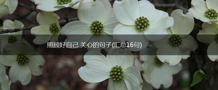 照顾好自己 关心的句子(汇总16句),第1张