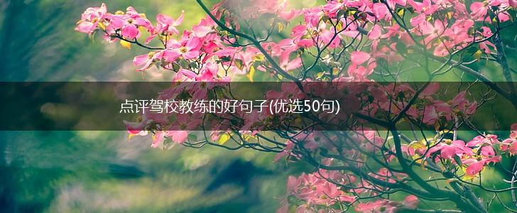 点评驾校教练的好句子(优选50句),第1张