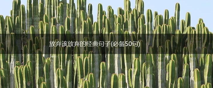 放弃该放弃的经典句子(必备50句),第1张