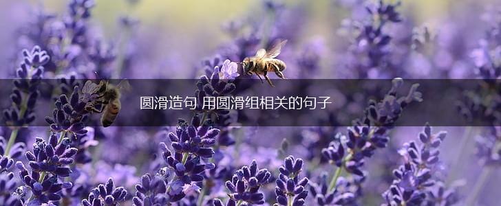 圆滑造句 用圆滑组相关的句子,第1张
