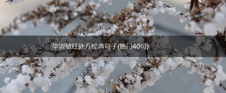 毕淑敏红处方经典句子(热门40句),第1张