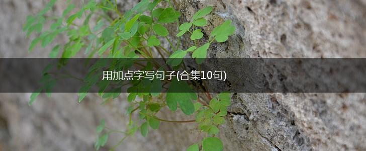 用加点字写句子(合集10句),第1张