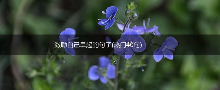 激励自己早起的句子(热门40句),第1张