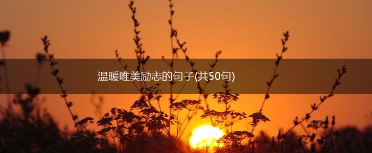 温暖唯美励志的句子(共50句),第1张