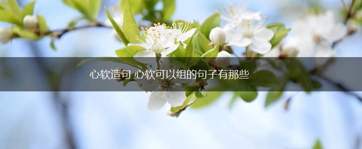 心软造句 心软可以组的句子有那些,第1张