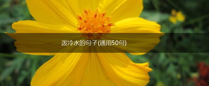 泼冷水的句子(通用50句),第1张
