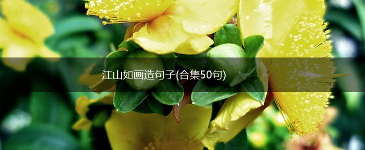 江山如画造句子(合集50句),第1张