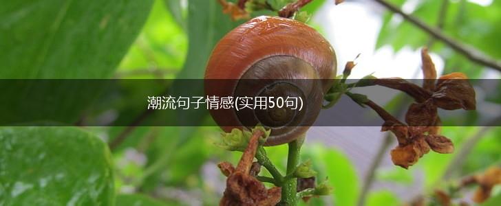 潮流句子情感(实用50句),第1张