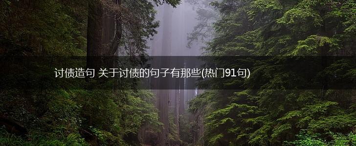 讨债造句 关于讨债的句子有那些(热门91句),第1张