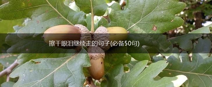 擦干眼泪继续走的句子(必备50句),第1张