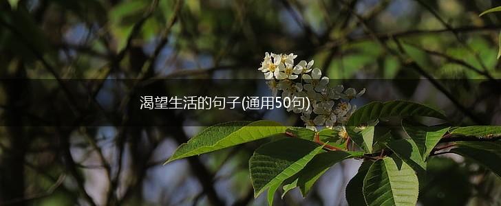 渴望生活的句子(通用50句),第1张