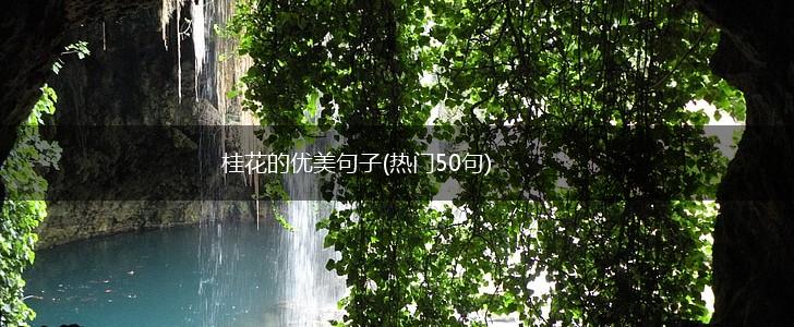 桂花的优美句子(热门50句),第1张 桂花的优美句子(热门50句),第1张