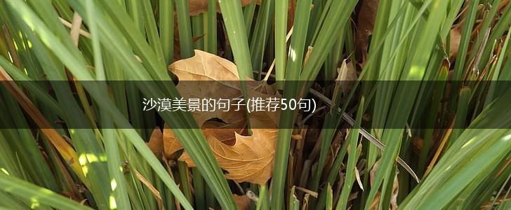 沙漠美景的句子(推荐50句),第1张