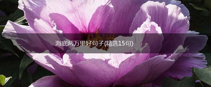 海底两万里好句子(精选15句),第1张
