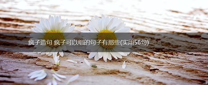 疯子造句 疯子可以组的句子有那些(实用56句),第1张