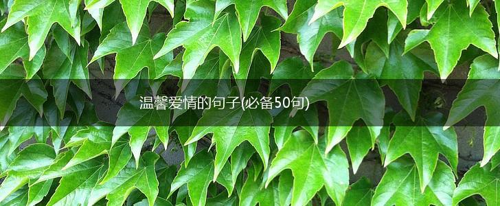 温馨爱情的句子(必备50句),第1张