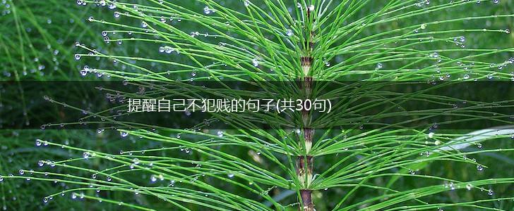 提醒自己不犯贱的句子(共30句),第1张