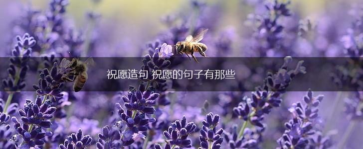 祝愿造句 祝愿的句子有那些,第1张