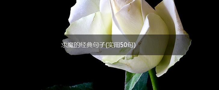 求魔的经典句子(实用50句),第1张