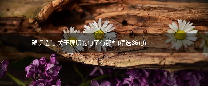 确切造句 关于确切的句子有那些(精选86句),第1张