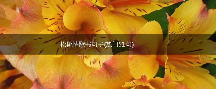 松桃情歌书句子(热门51句),第1张