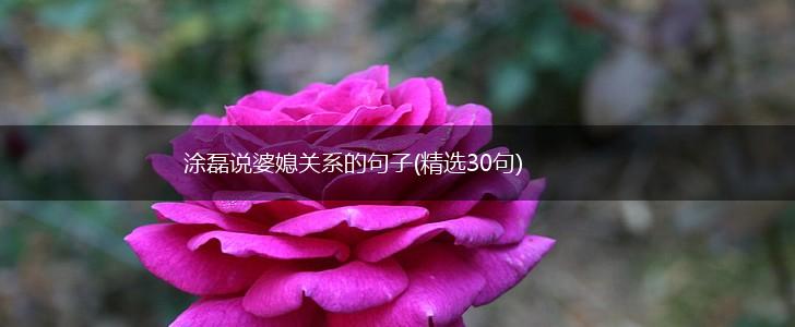 涂磊说婆媳关系的句子(精选30句),第1张