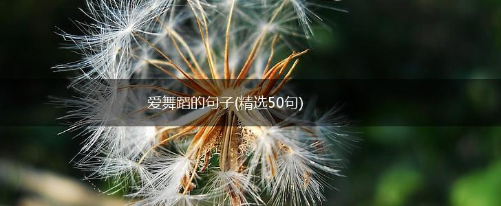 爱舞蹈的句子(精选50句),第1张