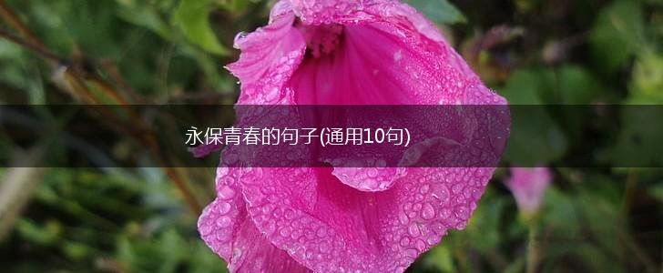 永保青春的句子(通用10句),第1张