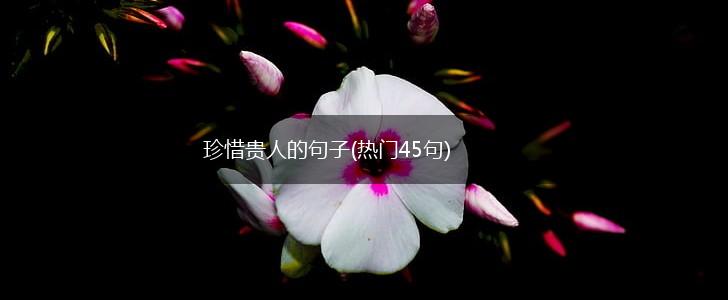 珍惜贵人的句子(热门45句),第1张