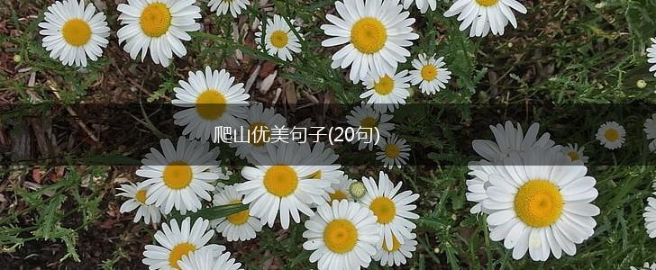 爬山优美句子(20句),第1张