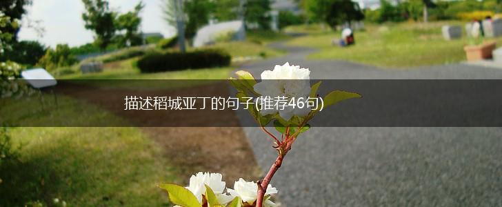 描述稻城亚丁的句子(推荐46句),第1张