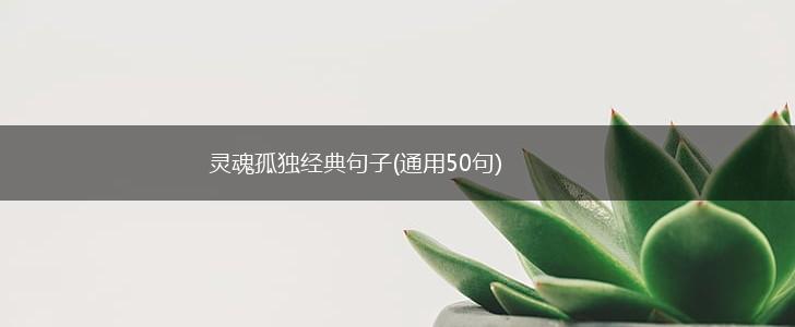 灵魂孤独经典句子(通用50句),第1张