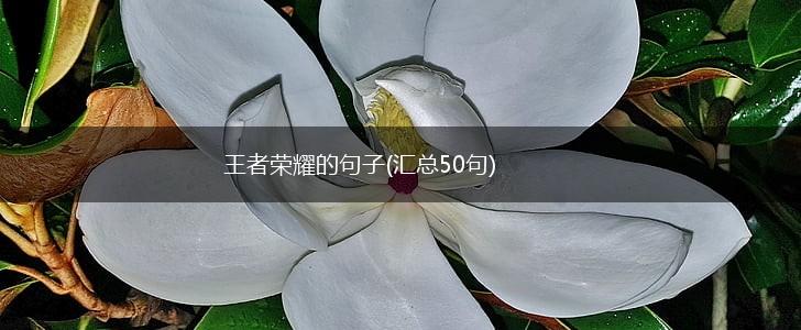 王者荣耀的句子(汇总50句),第1张