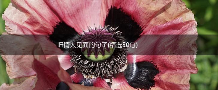 旧情人见面的句子(精选50句),第1张