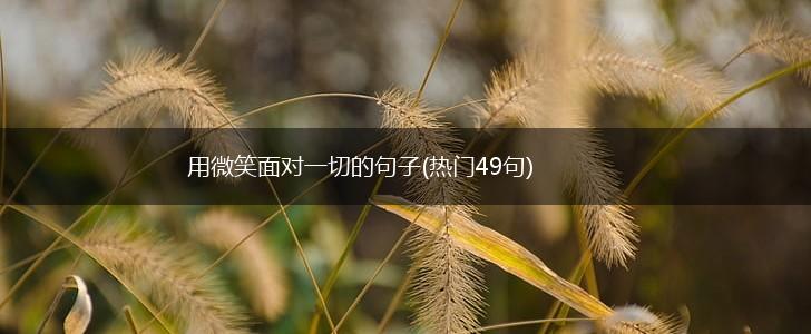 用微笑面对一切的句子(热门49句),第1张