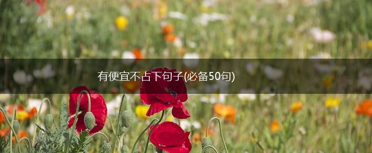 有便宜不占下句子(必备50句),第1张