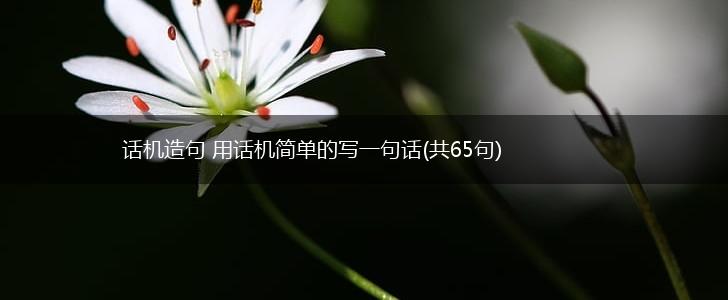 话机造句 用话机简单的写一句话(共65句),第1张