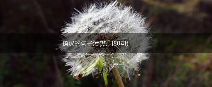 撩汉的句子污(热门80句),第1张