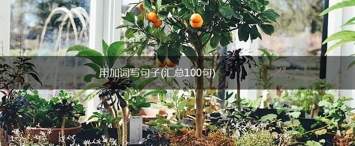 用加词写句子(汇总100句),第1张